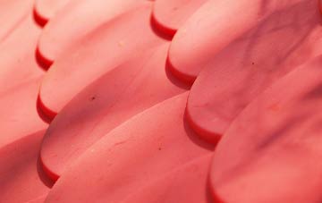 Great Holcombe plastic roof costs